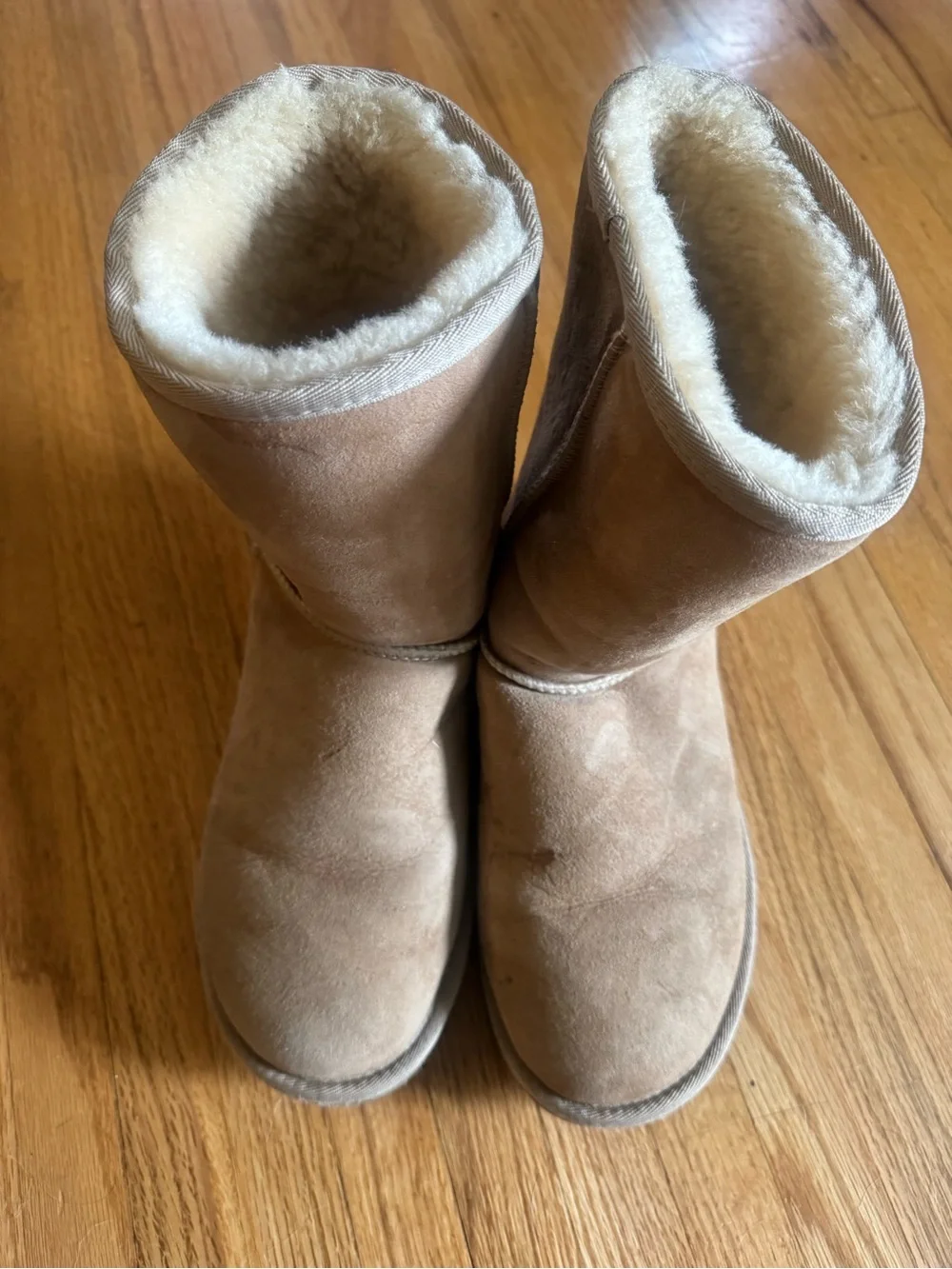 UGG® Classic II Genuine Shearling Lined Short Boot (Women)